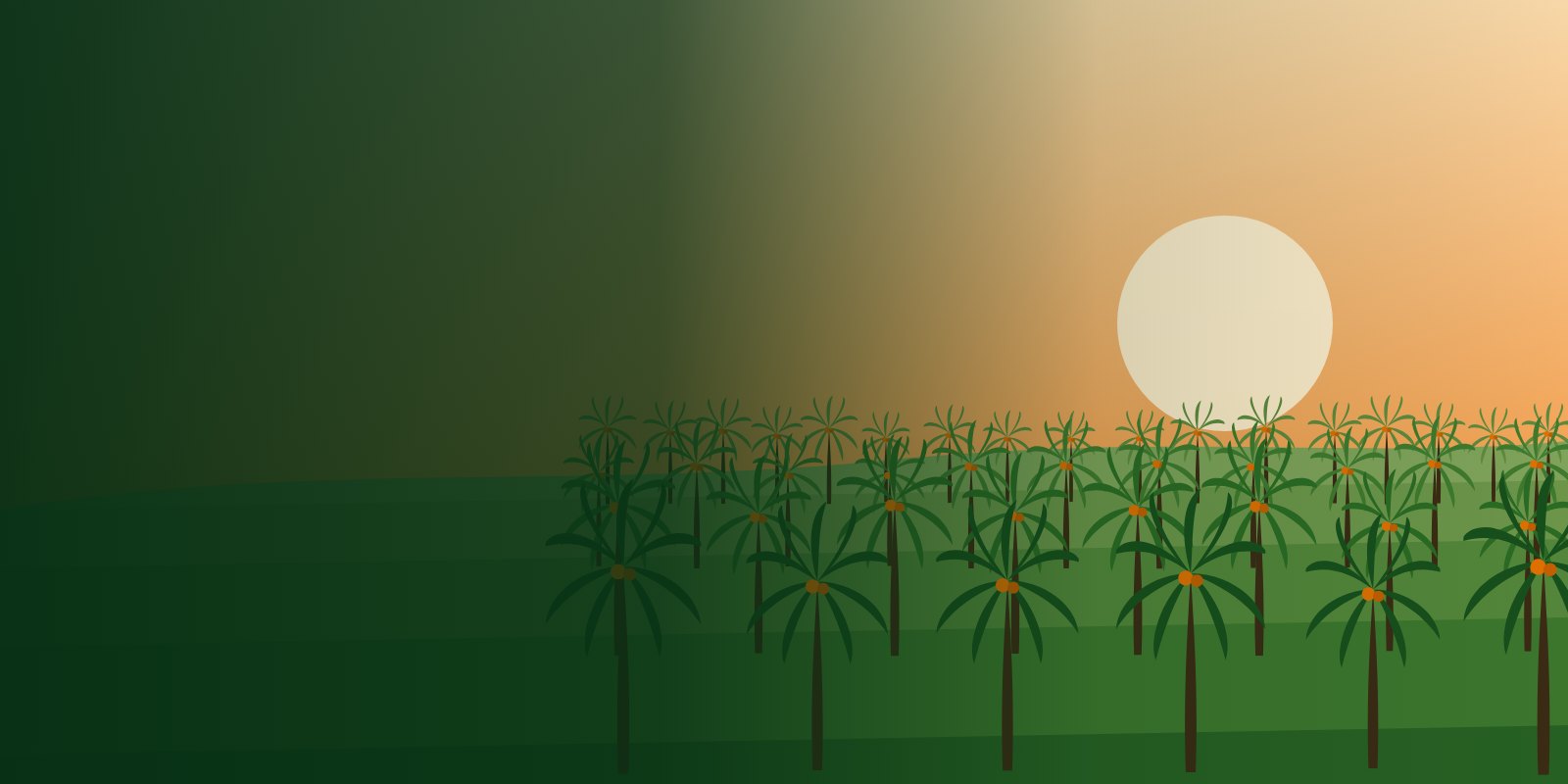 Ilustrasi ladang kelapa sawit ketika matahari terbit