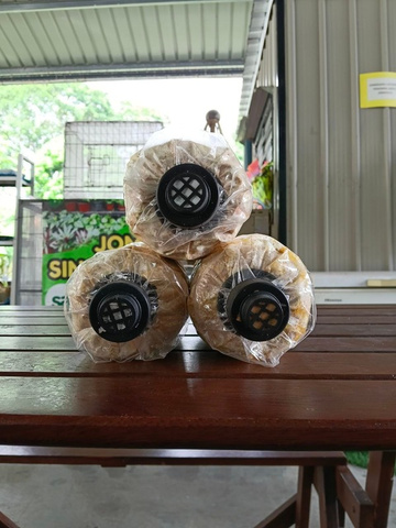 Bongkah cendawan